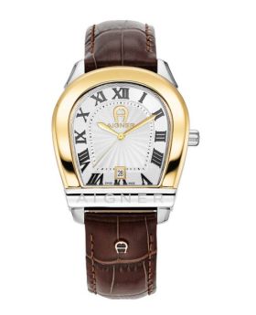 Aigner Men's Watch  Agw.244003