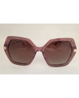 Champion Life Sunglass Collection